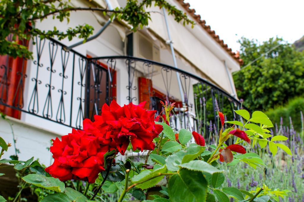 Guesthouse Lykourgos Mavrommátion Zewnętrze zdjęcie